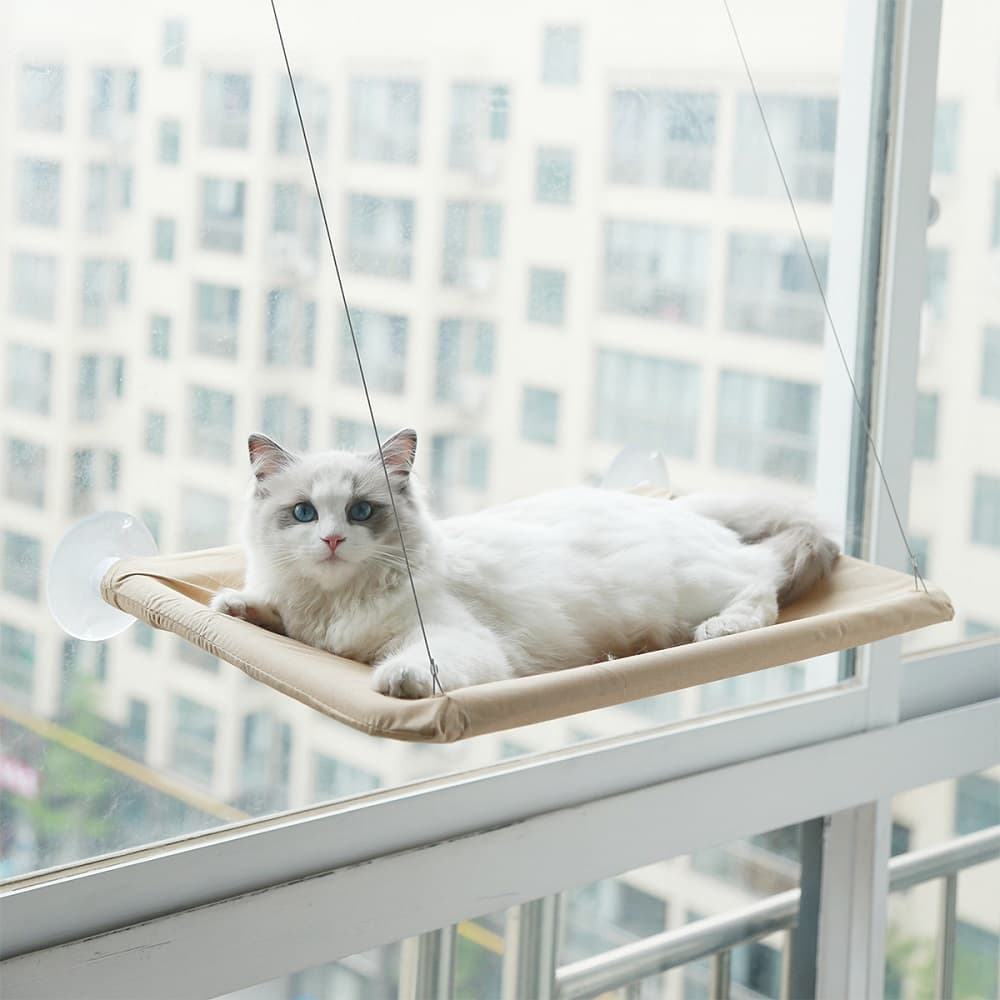 Strong Window Mounted Cat Sunny Seat Nt Scratch Tree Hammock Bed For Cats Suppli Kitten Climbing Frame Pet