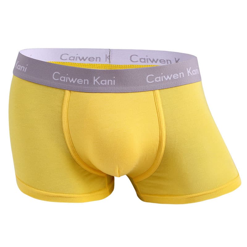 Boxer pour homme en coton respirant et modal, short d'été fin pour garçon