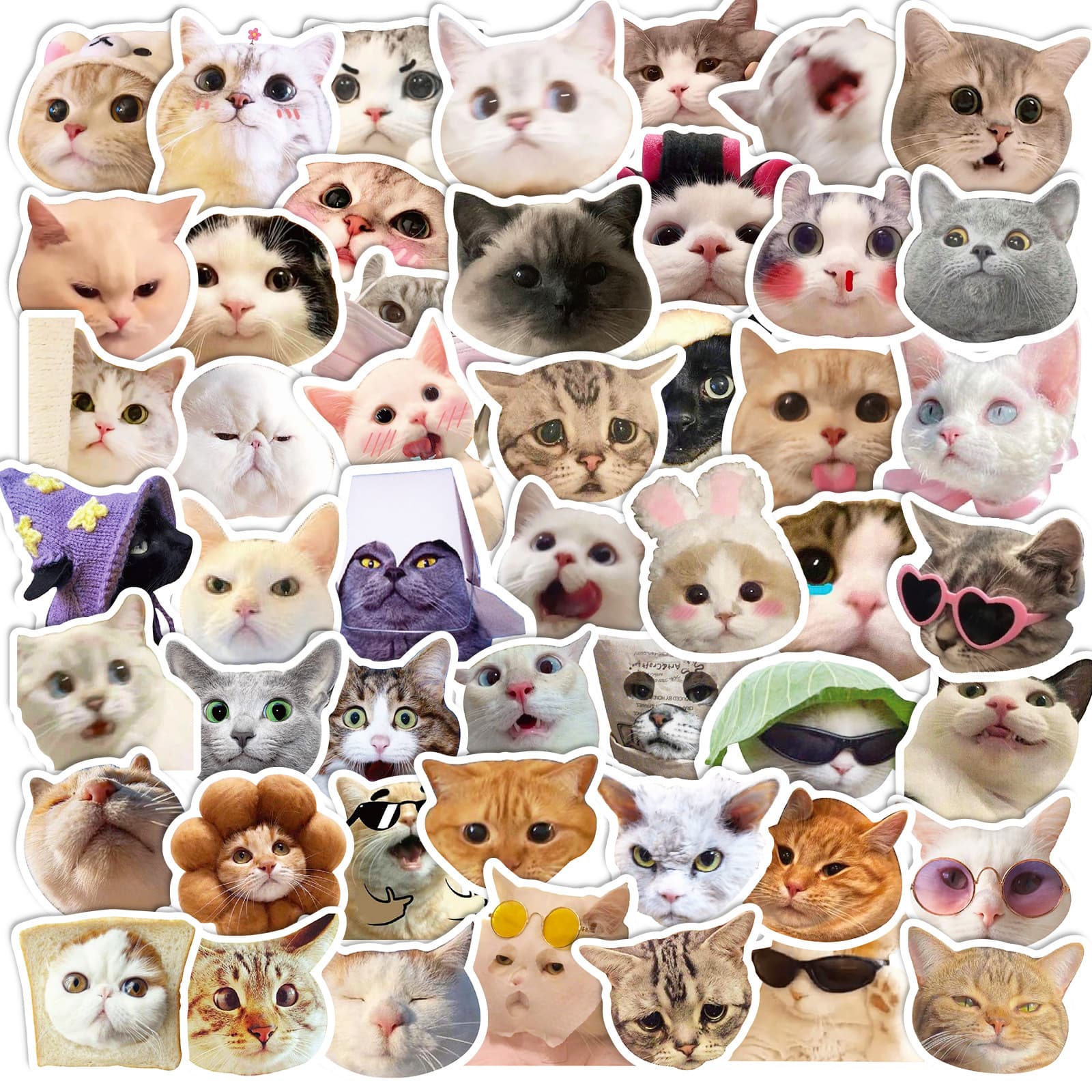 Stationery Sticker cat stickers net red cat expression bag graffiti stickers cute funny funny cat head