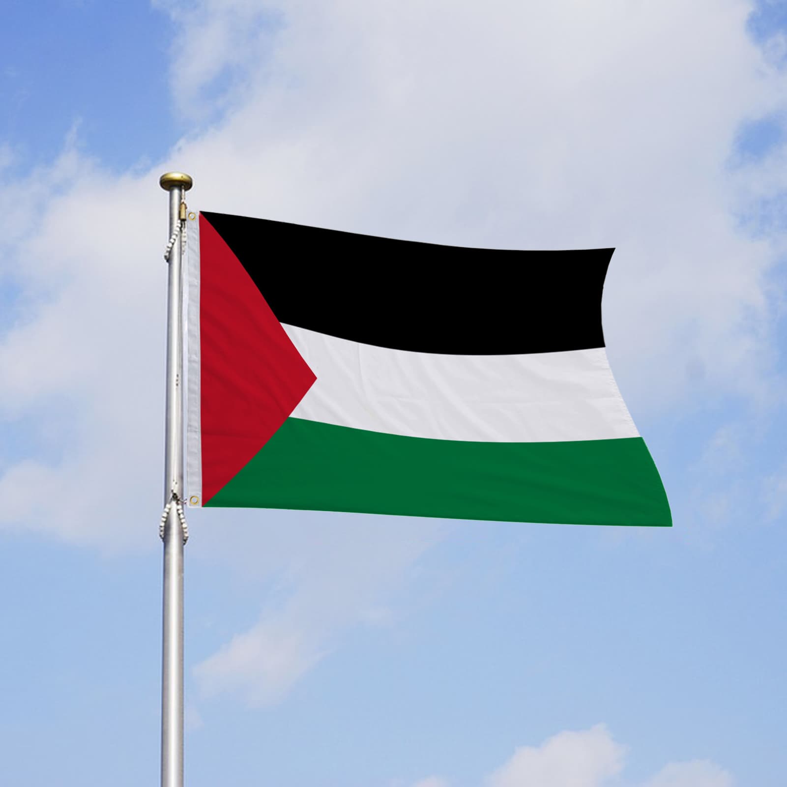 SportLife Palestine Flag Fade Resistant Fine Workmanship Simple Installation Canvas Header Palestinian National Flags