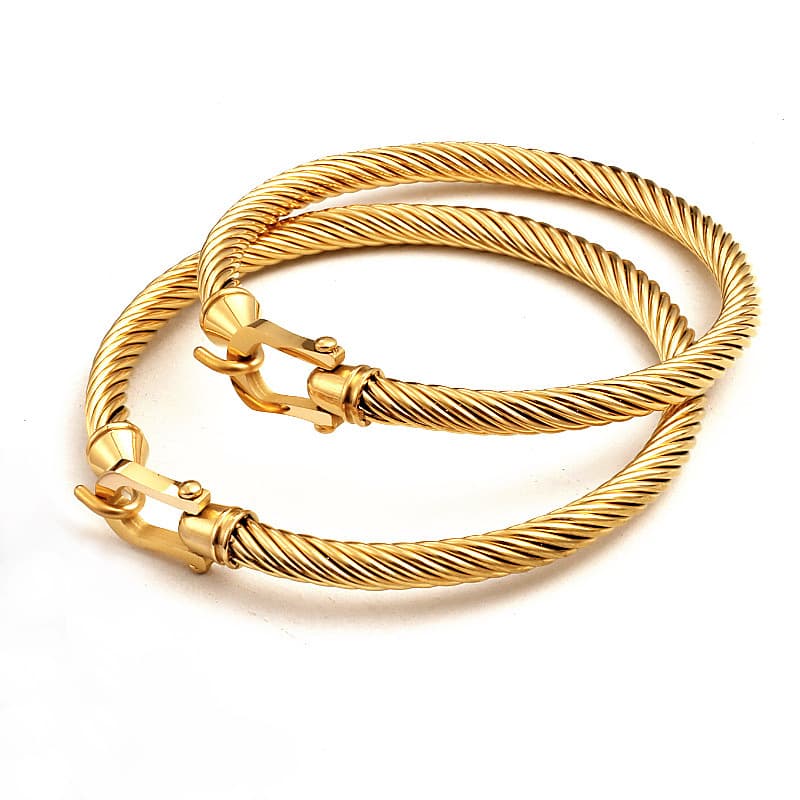Jewelry & Accessories Horseshoe Buckle Titanium Steel Bracelet Cable Twisted Wire Bracelet Fashion Jewelry Boutique Women's Jewelry