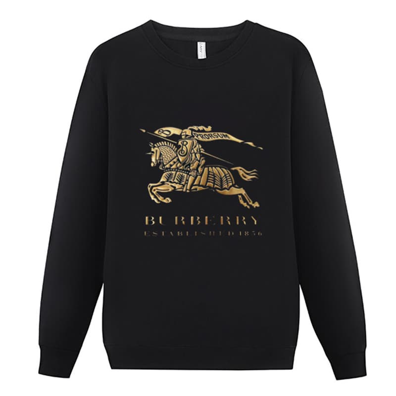 17 Style Burber Nouveau Sweat à capuche imprimé Tendance Sweat à capuche décontracté polyvalent pour hommes