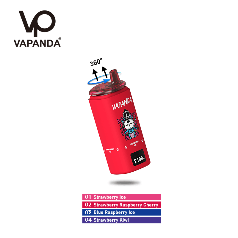 10 pièces 4in1 saveurs variables Vapanda jetable Vape Pod 120K 300K 500K pour une cigarette électronique