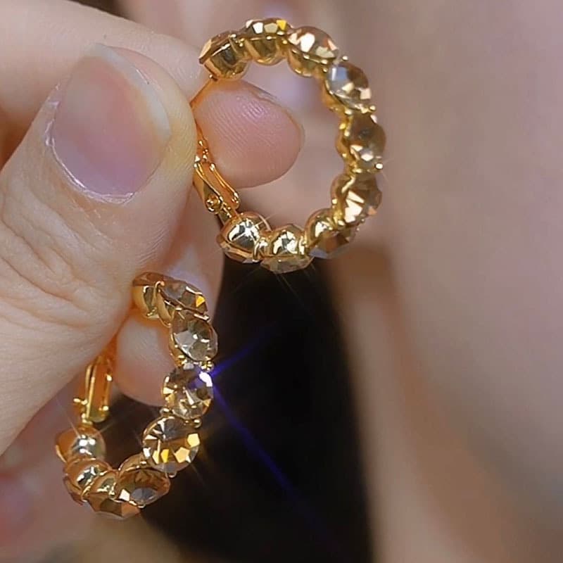 Versatile Coffee Color Zircon Hoop Autumn Winter New Niche Design Sense Light Elegant Sparkling Diamond Earrings