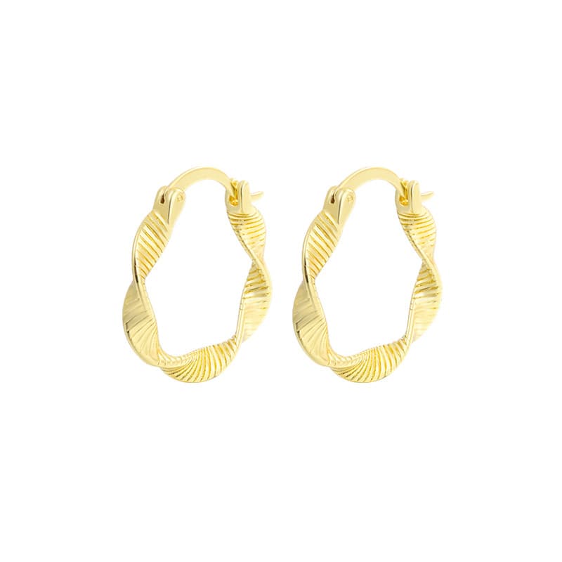 Women's Jewelry Simple Fashion Thread Twisted Earrings Exaggerated Personality Trend Ins High End Sense Net Red All Match Ear Accessories