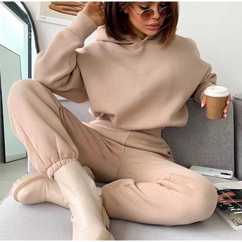 Women's Clothing autumn and winter new hooded sweatshirt casual sports suit