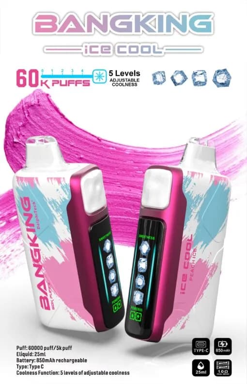 Lot de 2 cigarettes électroniques jetables Bang King 60K (60 000 bouffées) Ice Cool, réglables, 2 % de nicotine