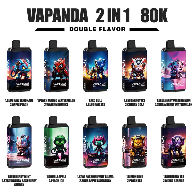 Lot de 10 cigarettes électroniques jetables Vapanda Double Saveur 80K 120K