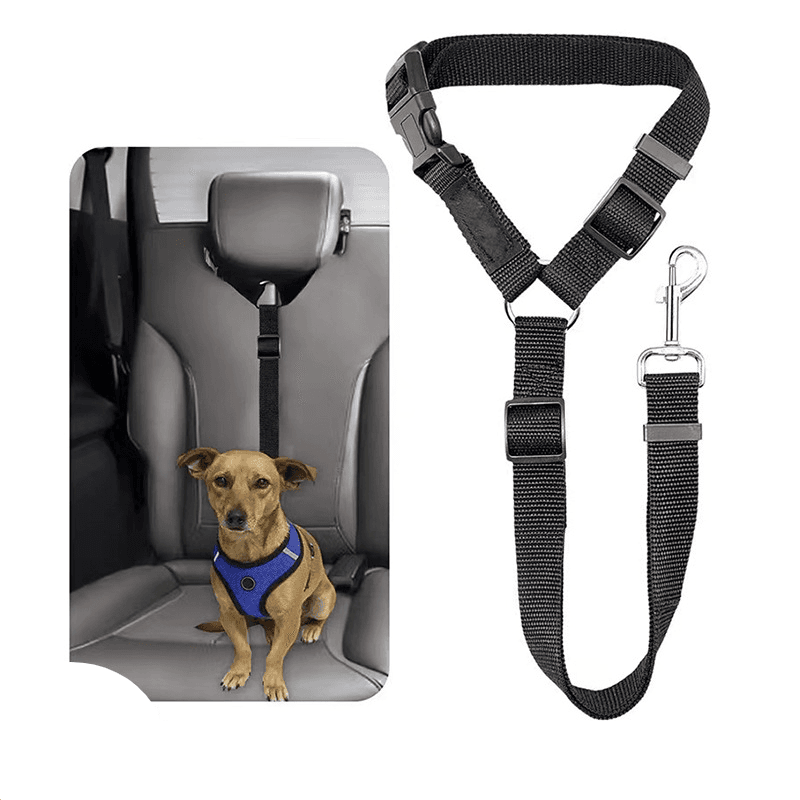 Unisex Pet Products Car Safety Traction With Ring Dog Rope Cat Rope Car Headrest Retractable Traction Rope