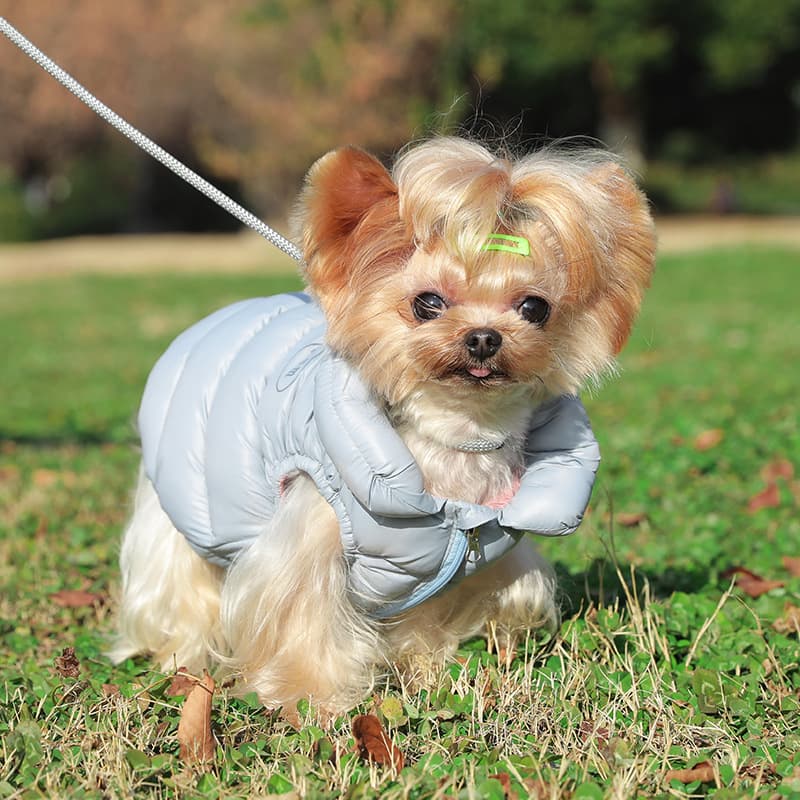 Pet Clothing, Two Legged Down Winter Warm Cotton Jacket, Small Dog Vest, Vest