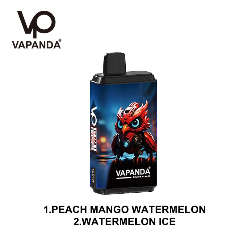 Vapanda 2 en 1 80K Vape jetable - 80 000 bouffées, double saveur interchangeable