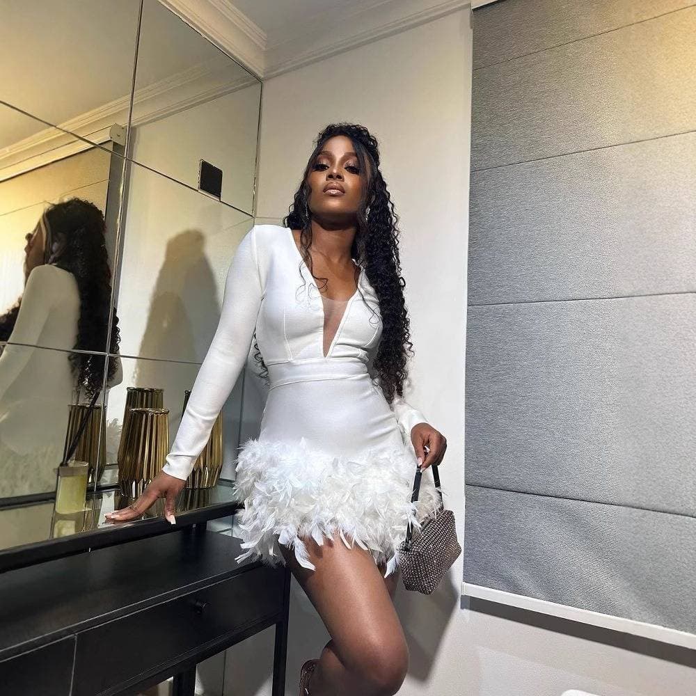 Women's Clothing Spring And Summer New Women's Party Sexy Deep V Hip Feather Splicing Dress