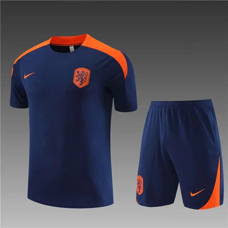 24-25 Player Version: New Dutch Treatment Blue Football Jersey