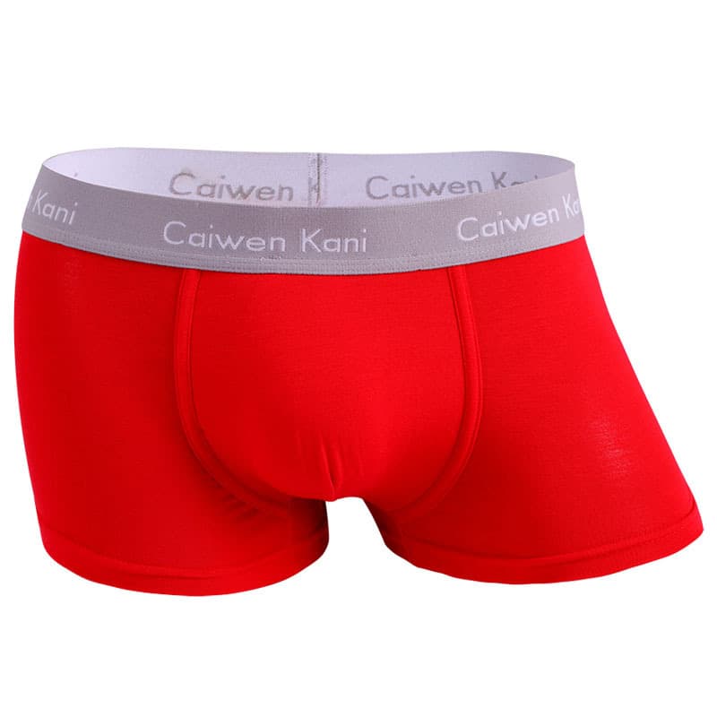 Boxer pour homme en coton respirant et modal, short d'été fin pour garçon