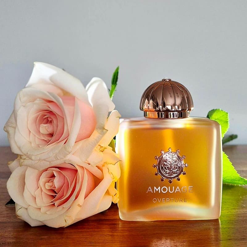 AMOUAGE Luxury Women Perfume 100ml Floral Oriental Chypre Fragrance Collection Long Lasting Elegan Vanilla Woody Musk Amber Gift