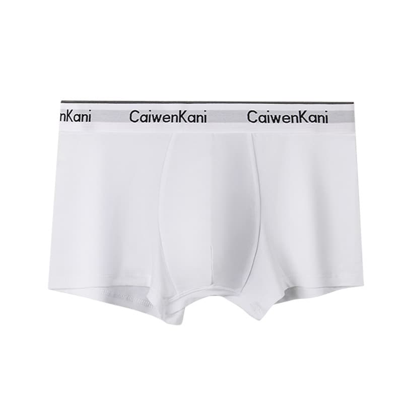 Boxer pour homme en coton respirant et modal, short d'été fin pour garçon