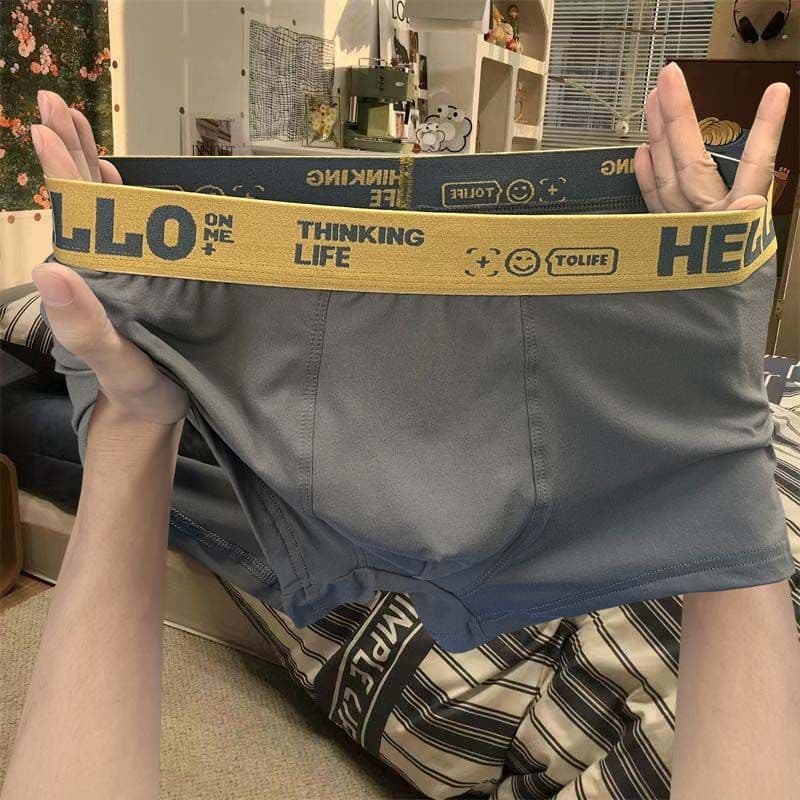 Men's Underwear Wholesale Large Size Mid Waist Antibacterial Breathable Comfortable Cotton Boxer Shorts For Men Manufacturers