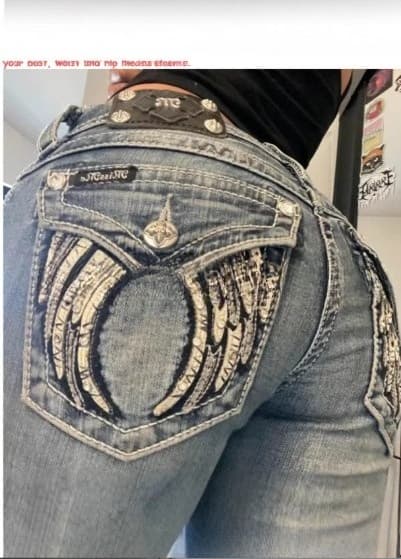 Jean bootcut brodé à motif ailes pour femme, pantalon en denim clair taille basse avec poches strass, jean slim style western idéal pour le street
