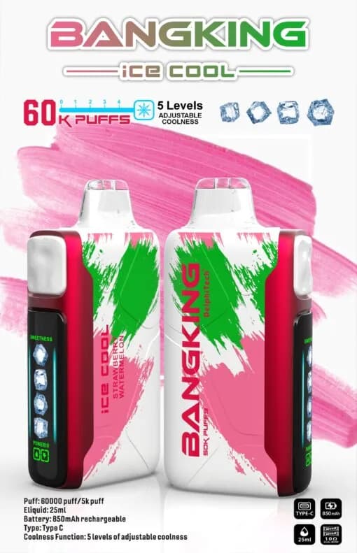 Lot de 2 cigarettes électroniques jetables Bang King 60K (60 000 bouffées) Ice Cool, réglables, 2 % de nicotine