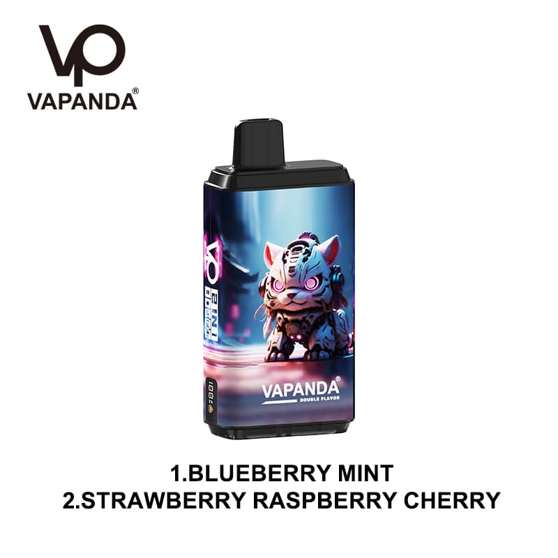 Vapanda 2 en 1 80K Vape jetable - 80 000 bouffées, double saveur interchangeable