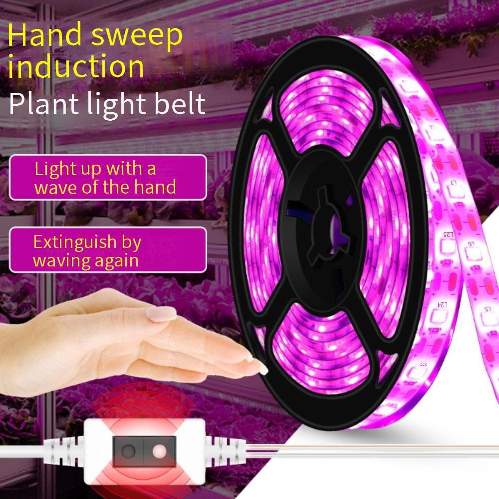 Bande lumineuse LED USB à spectre complet avec détection tactile et par ondes, éclairage de croissance pour plantes d'intérieur 5 V