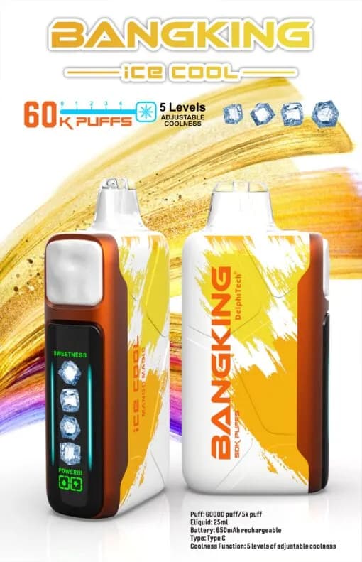 Lot de 2 cigarettes électroniques jetables Bang King 60K (60 000 bouffées) Ice Cool, réglables, 2 % de nicotine