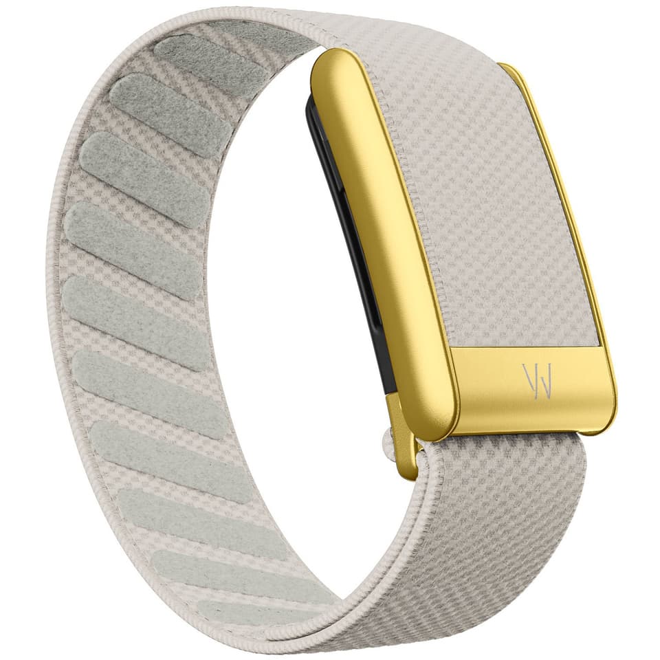 Suitable For 5.0 Wristband Strap, Nylon Woven Elastic Whoop Mg Sports Replacement Strap With Gold U-shaped Metal Frame