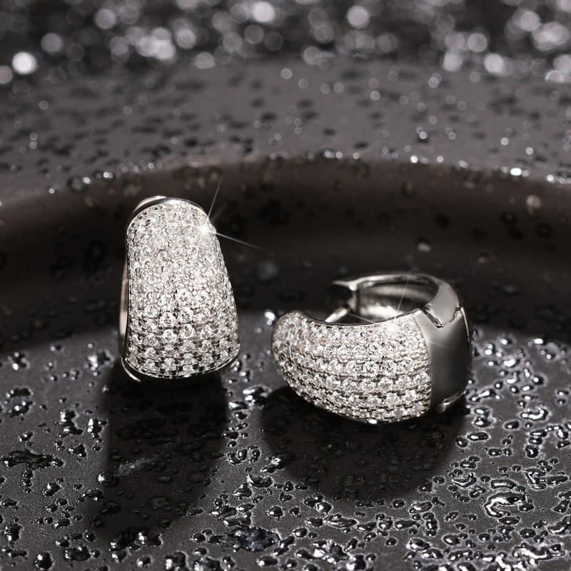 Dia-encrusted Lightweight Hip Hop Fashion Men's And Women's Earrings Luffian American Ear Hoops
