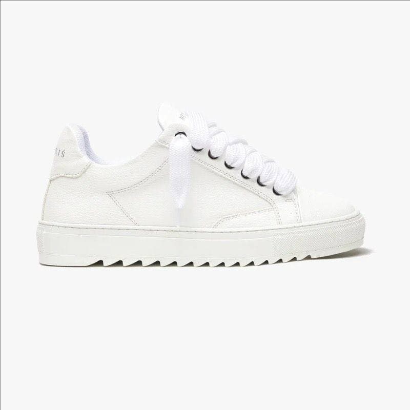 Baskets décontractées pour homme Numeris – Style classique, polyvalent, semelle plate, bout rond, à lacets