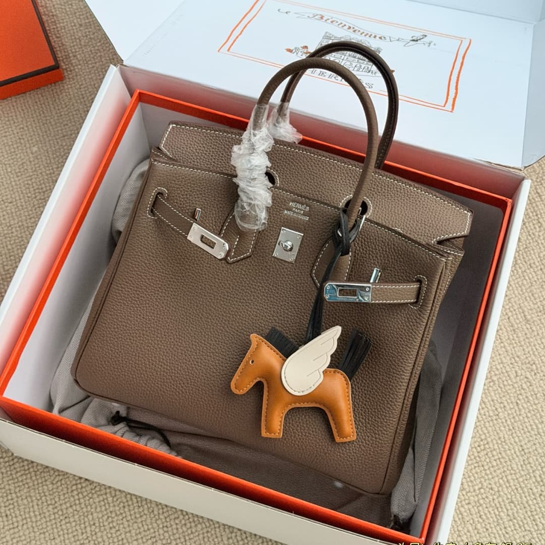 Nouveau sac à main minimaliste, élégant et de haute qualité pour femme, idéal au quotidien et pour les trajets domicile-travail.