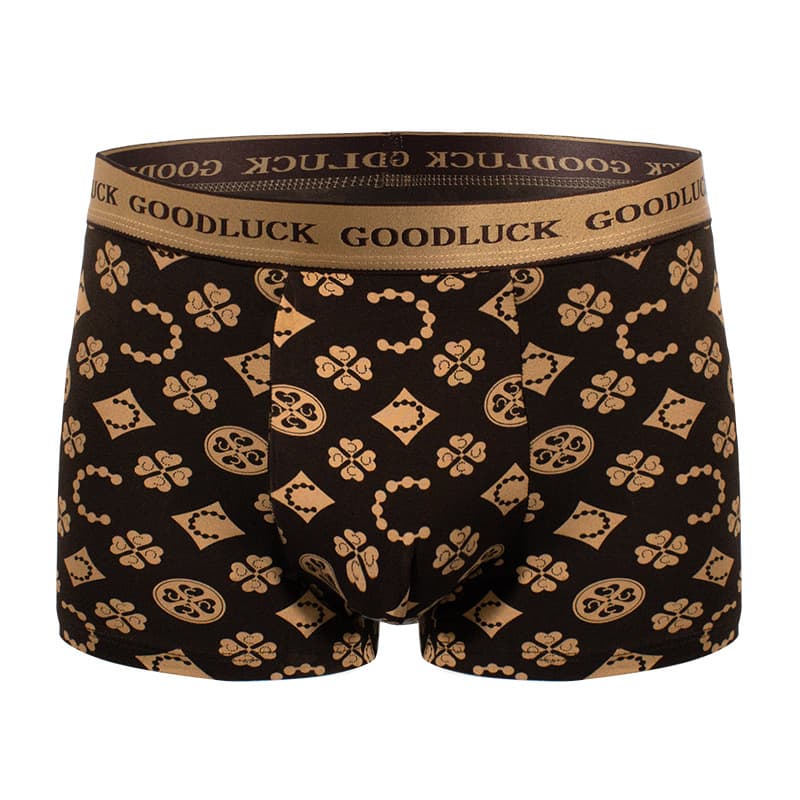 Men's Underwear Men's Cotton Antibacterial Boxer Briefs Youth Boys Printed Trendy Boxer Briefs Breathable Large Size Pants