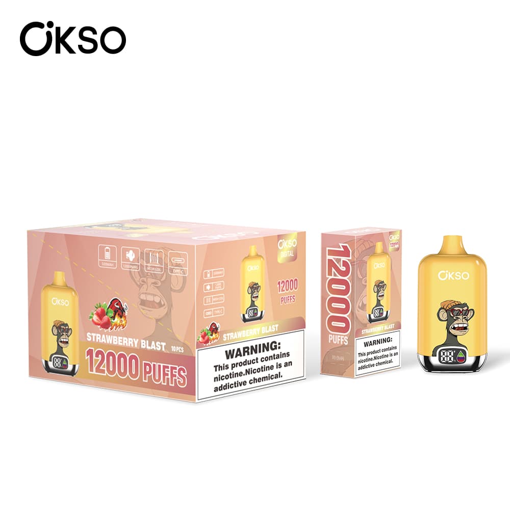 (Mise à niveau du produit ELF BOX 12 000 bouffées - 28 saveurs) Cigarette électronique jetable OKSO Digital 500 mAh, 12 000 bouffées, saveur fr
