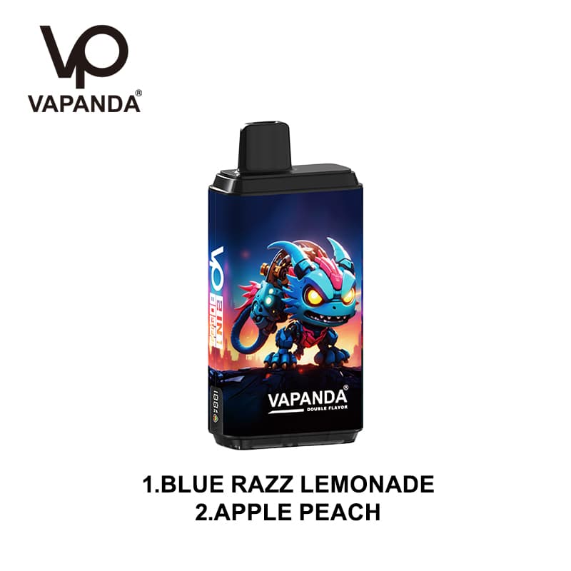 Vapanda 2 en 1 80K Vape jetable - 80 000 bouffées, double saveur interchangeable