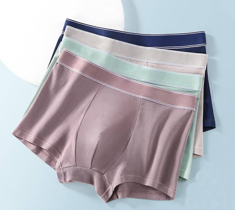 4PCS high quality men's boxer shorts summer L-3XL