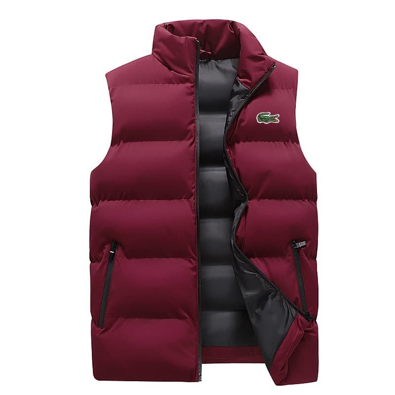 Gilet tendance pour homme, nouveau style automne/hiver, épais, chaud et coupe-vent