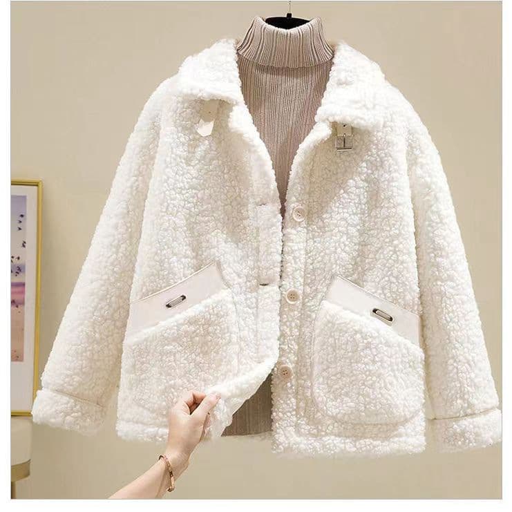 Women's Short Fleece Lined Jacket With Windproof & Warm Plush Fur, Korean Style Winter Coat (Beige, Coffee, Pink, Apricot) - S-xxxl​