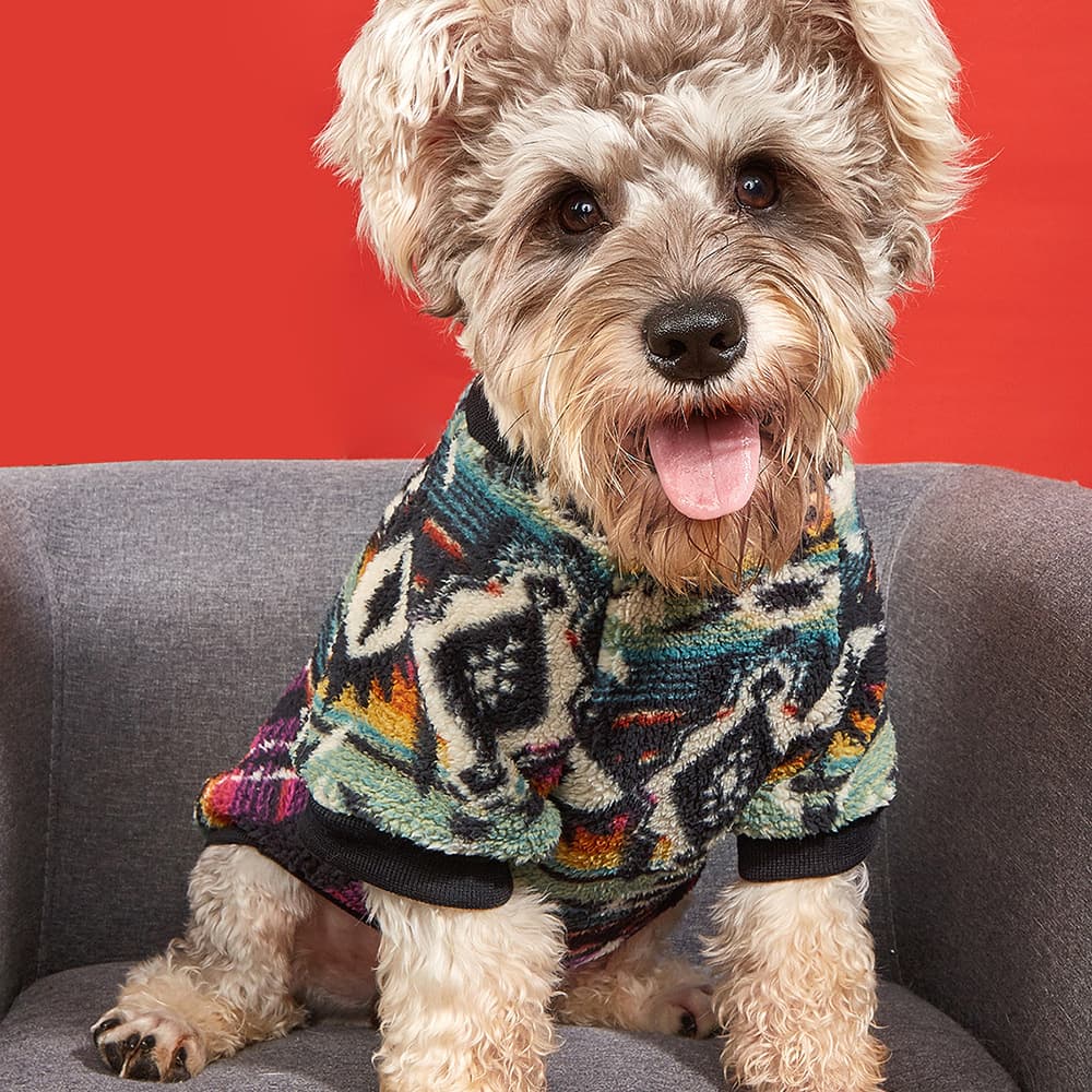 Plush Clothes Thickened Warm Autumn And Winter Pet Sweatshirt Ethnic Cat Clothes Supply Dog Clothes