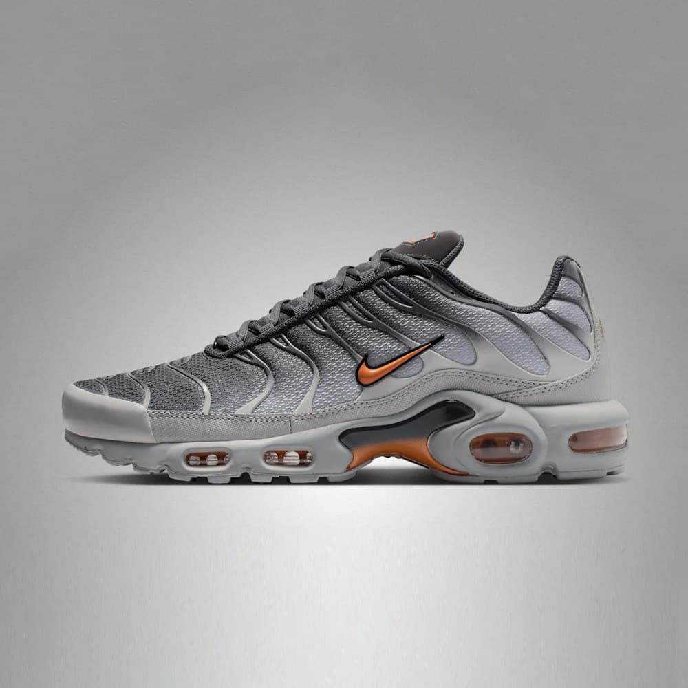 Chaussures de running résistantes pour homme Nike Air Max Plus DM0032-037