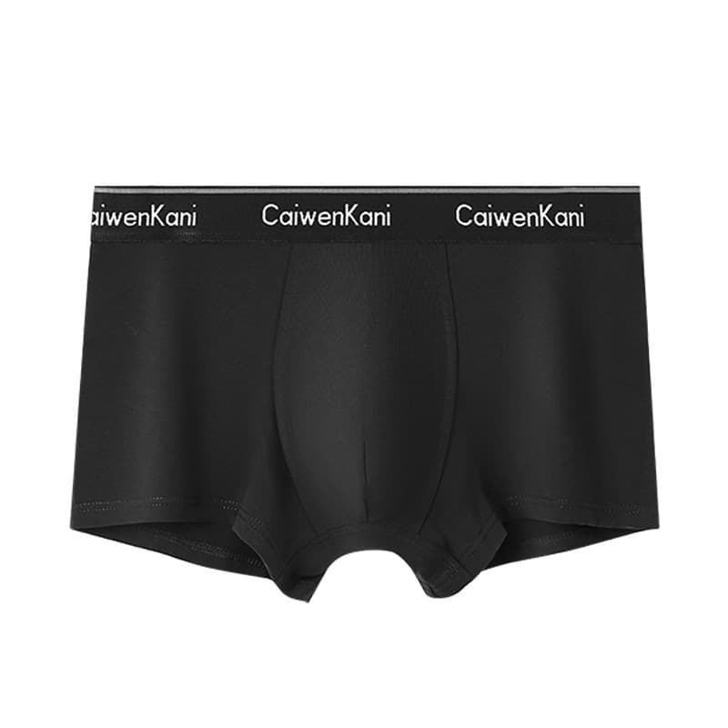 Boxer pour homme en coton respirant et modal, short d'été fin pour garçon