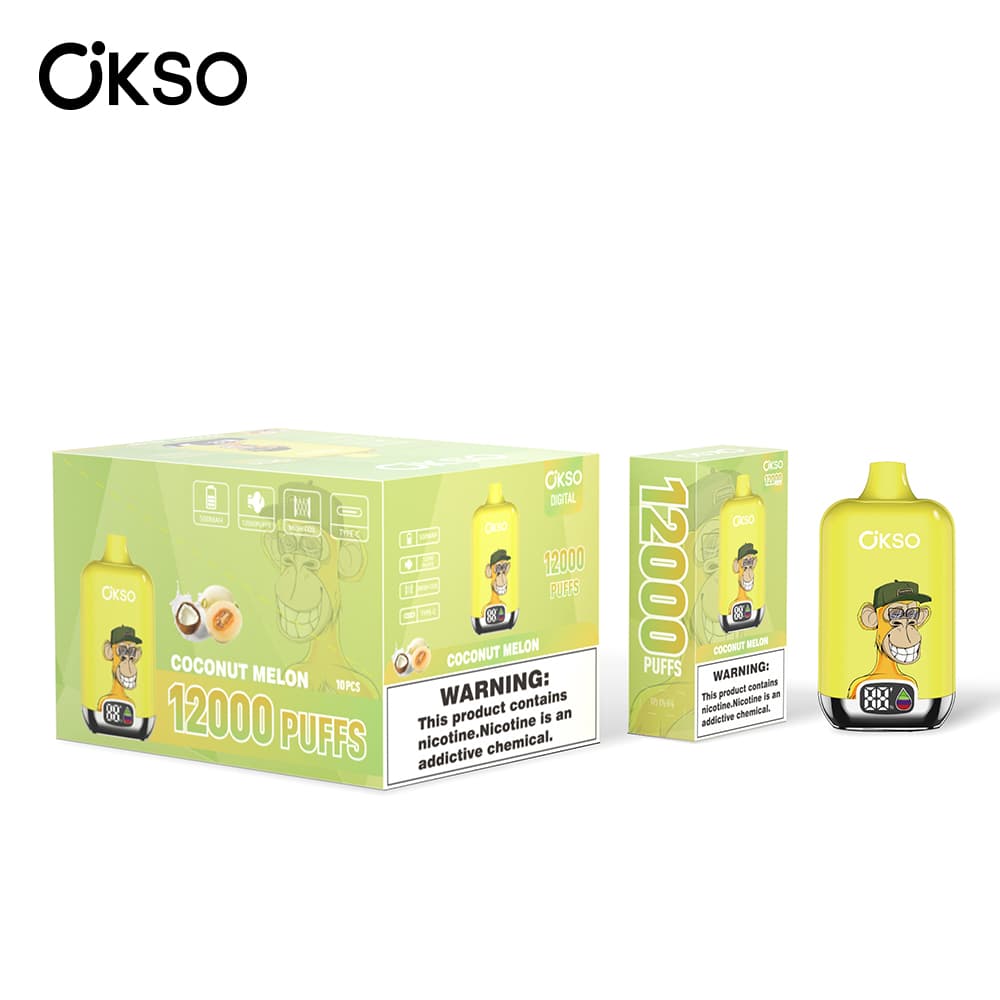 (Mise à niveau du produit ELF BOX 12 000 bouffées - 28 saveurs) Cigarette électronique jetable OKSO Digital 500 mAh, 12 000 bouffées, saveur fr
