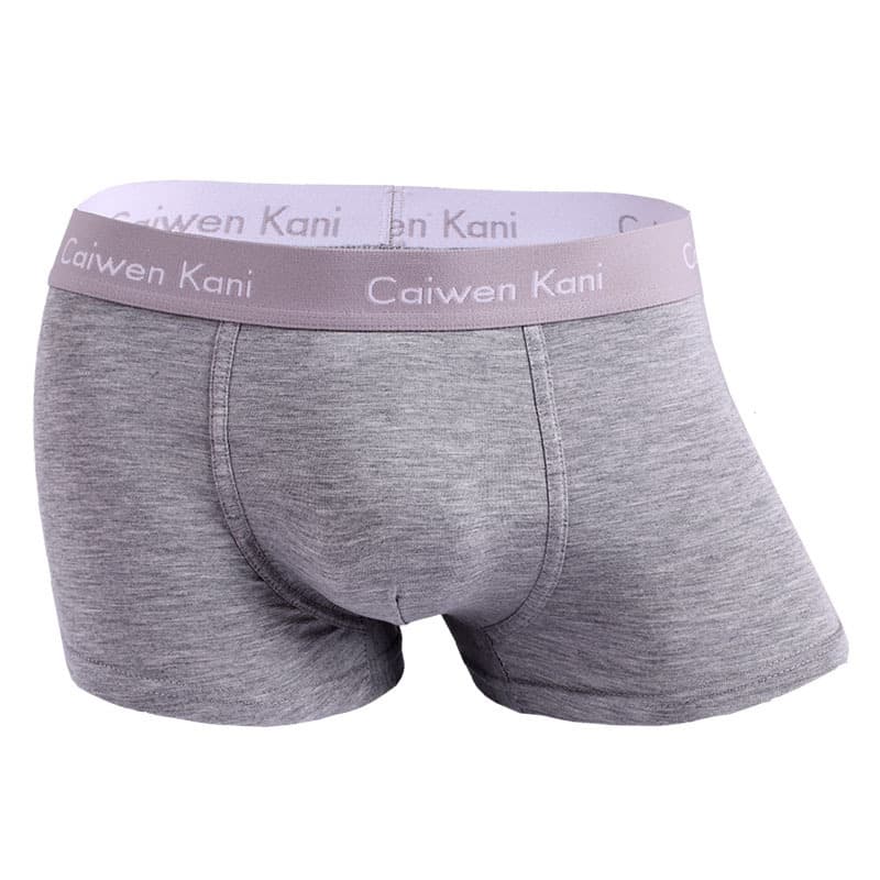 Boxer pour homme en coton respirant et modal, short d'été fin pour garçon