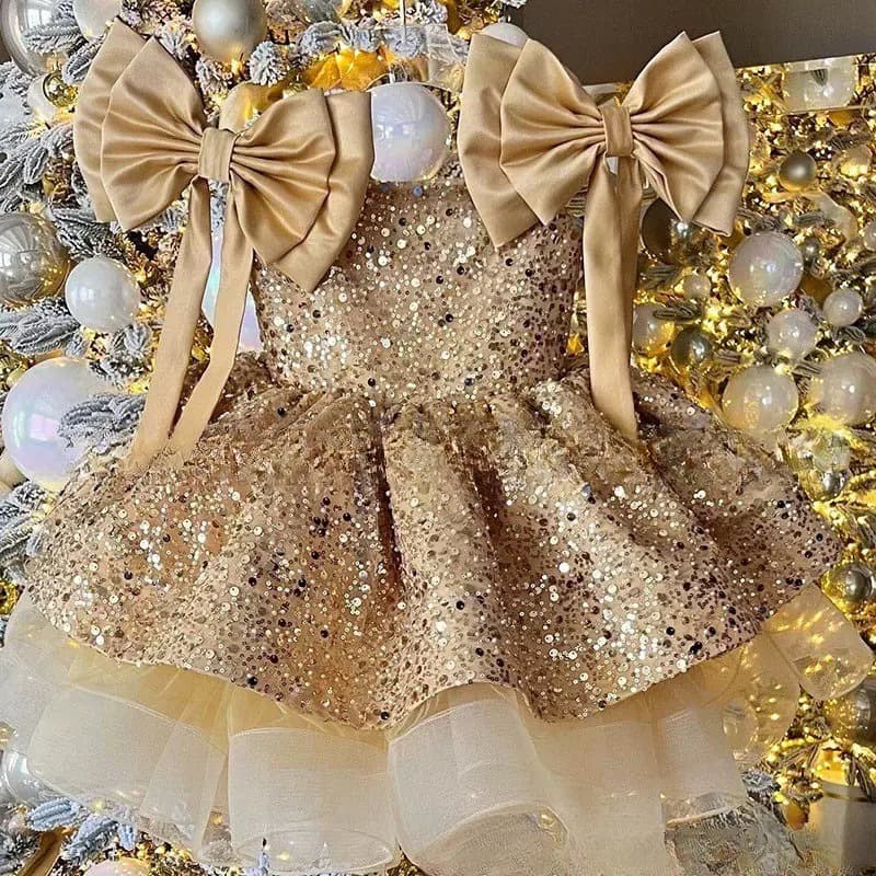Robe de princesse de luxe pour filles - Robe élégante de fête d'anniversaire avec broderies florales et jupe en tulle, robe de cérémonie pour le