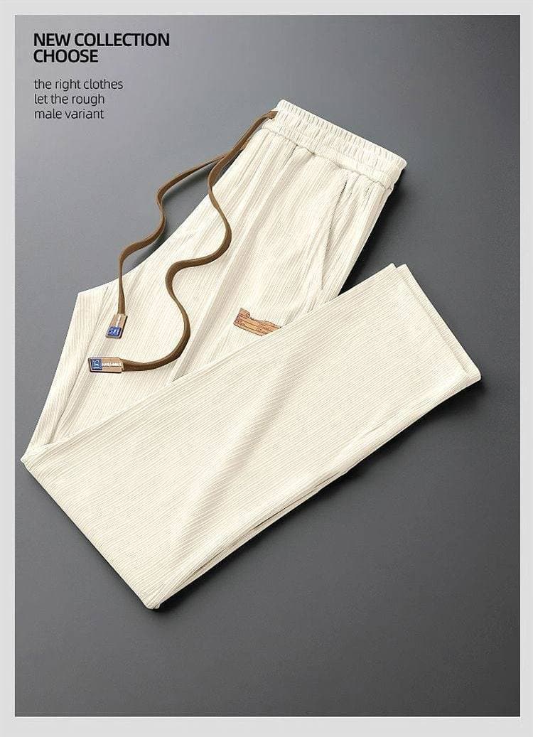 Men's Clothing 25 Summer New Style Ice Silk Thin Casual Pants Elastic Waist Trendy Sports Pants