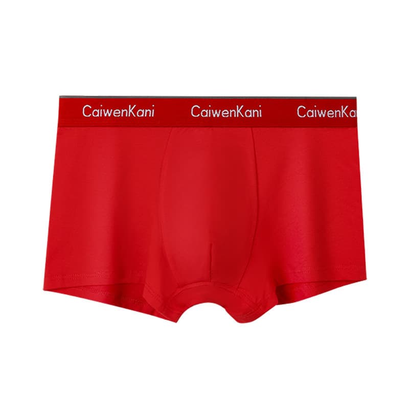 Boxer pour homme en coton respirant et modal, short d'été fin pour garçon