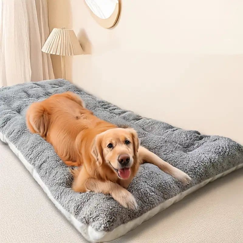 Four Seasons Golden Retrievers, Large Pet Popular Mat, Double-Sided Dog House And Cat Bed For Sleeping