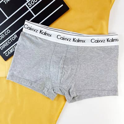 Sous-vêtements pour hommes en coton sans coutures - Respirants, taille mi-haute avec soufflet extensible, séchage rapide et confortables