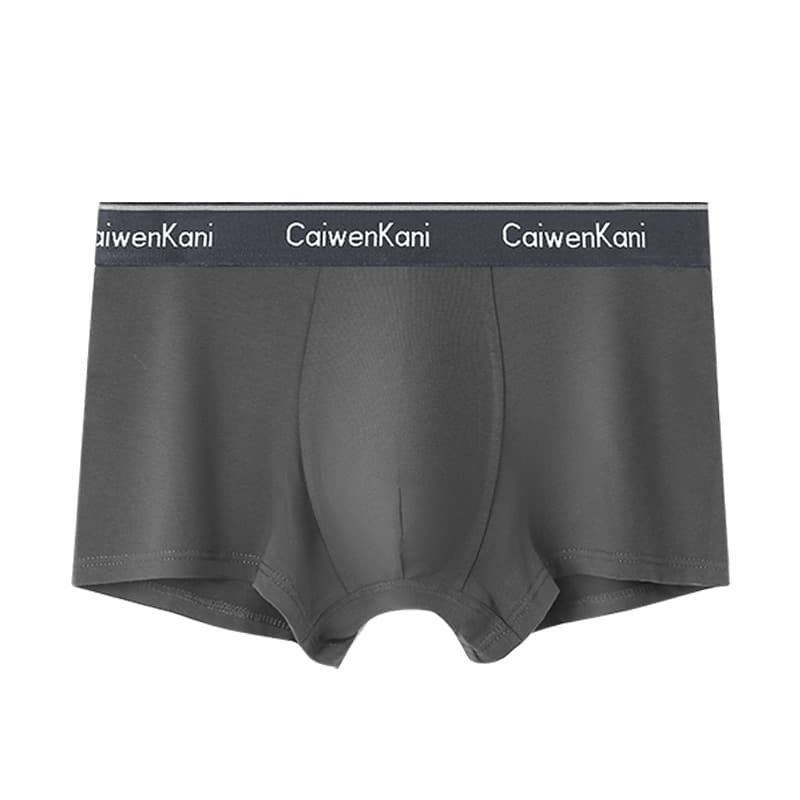 Boxer pour homme en coton respirant et modal, short d'été fin pour garçon