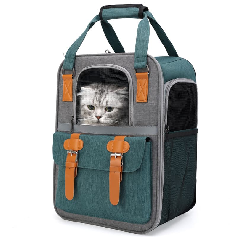 Pet Bags Wholesale Outing Double Shoulder Cat Backpack Wear Resistant Grab Handle Cat And Dog Bag