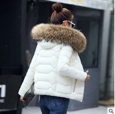 Women's Clothing New Down Cotton Jacket Women's Short Autumn And Winter Women's Cotton Coat Large Fur Collar Cotton Jacket