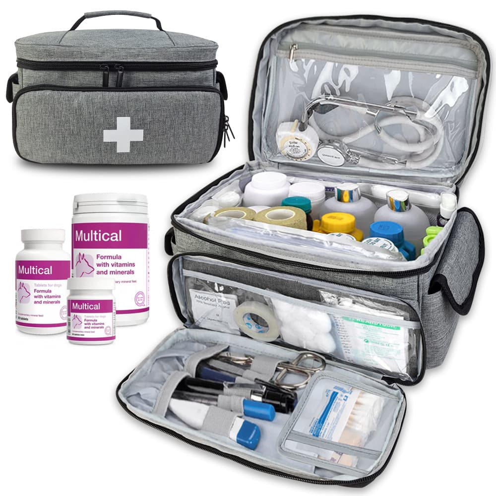 Functional Bags New Small Medicine Storage Bag Home First Aid Storage Box Medical Kit Medical Kit